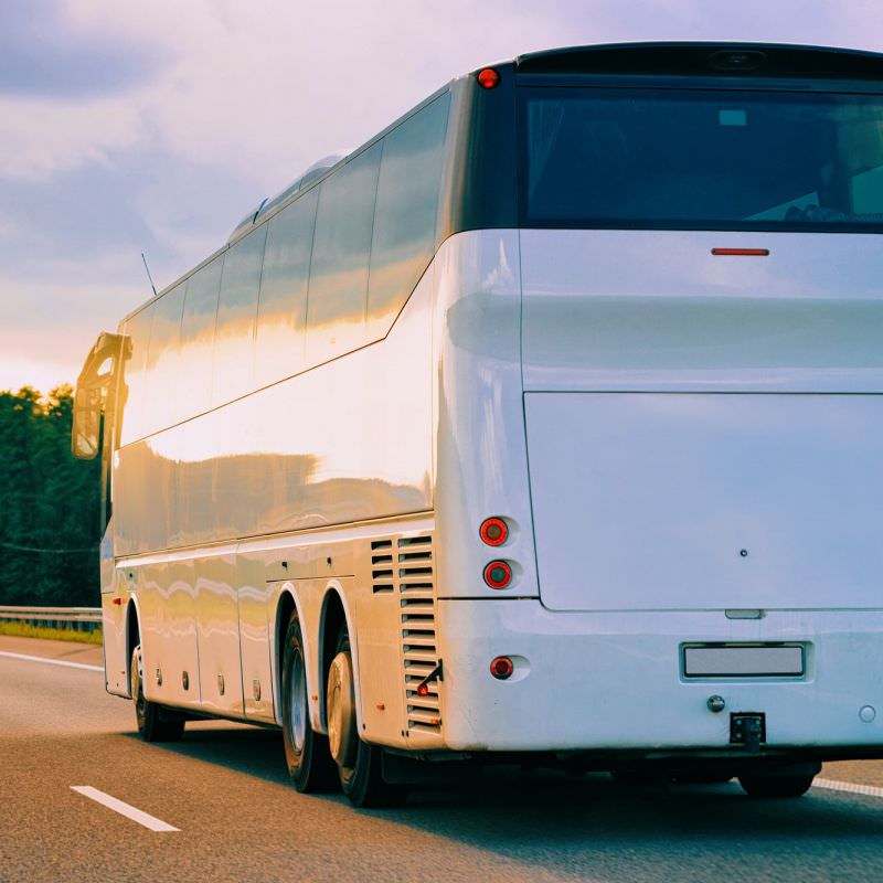 Bus & Car